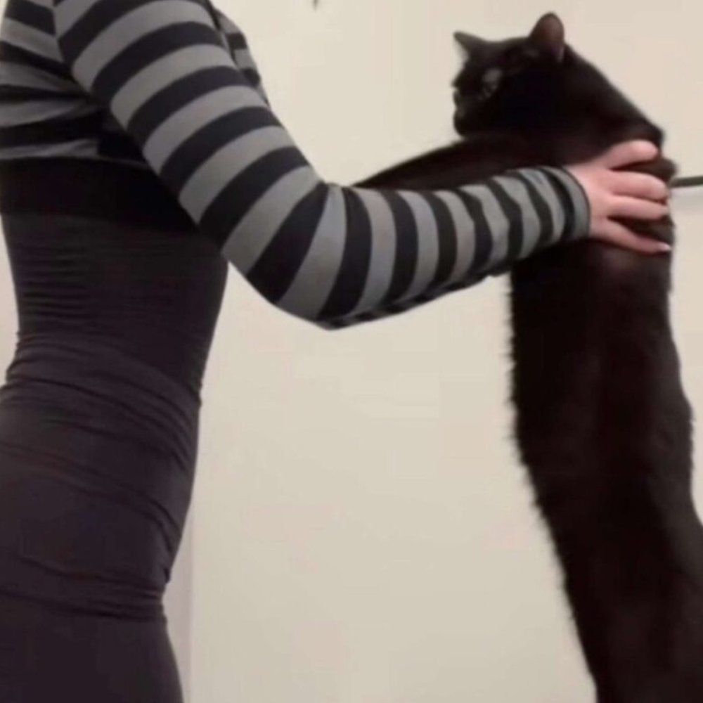 Meet your Posher, Diana